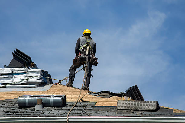 Professional Roofing technician working in Hallsville, OH